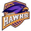 坦格朗老鹰